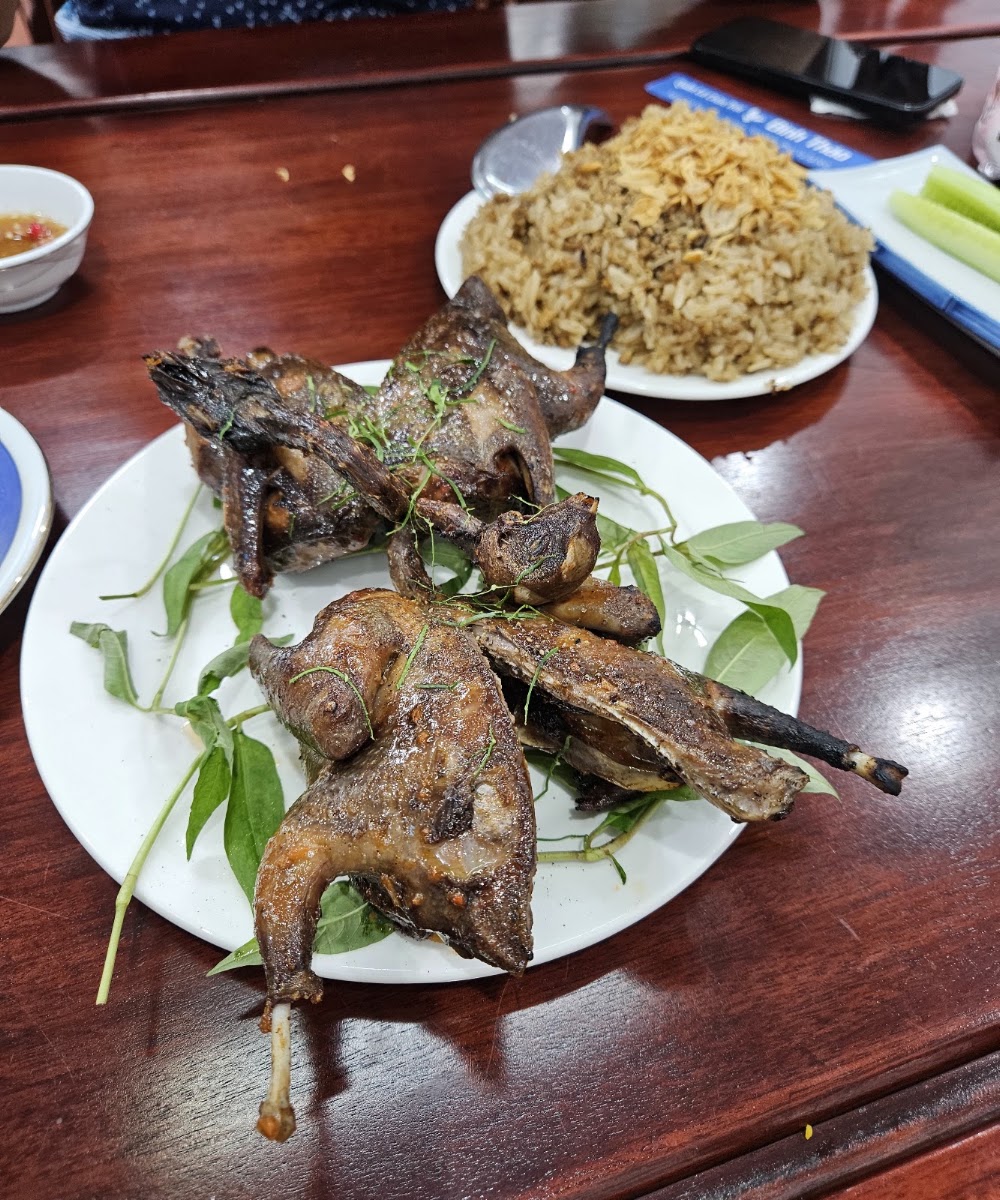 Quán Lá Nghệ Sỹ - Chim Trời BÌNH THẢO