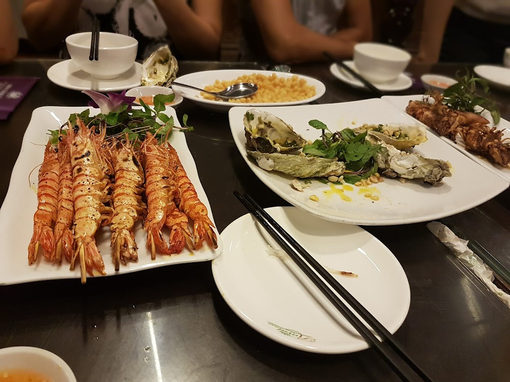 Quán Lá Nghệ Sỹ - Chim Trời BÌNH THẢO