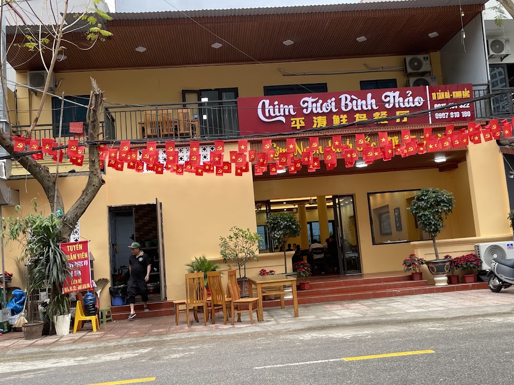 Quán Lá Nghệ Sỹ - Chim Trời BÌNH THẢO – Không gian quán