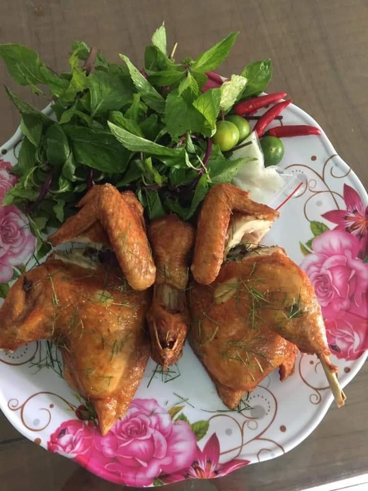 Gà Không Lối Thoát Hoàng Tuyển