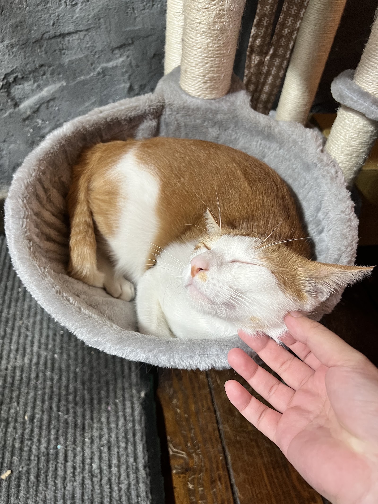 奔fun足體養生館環境照