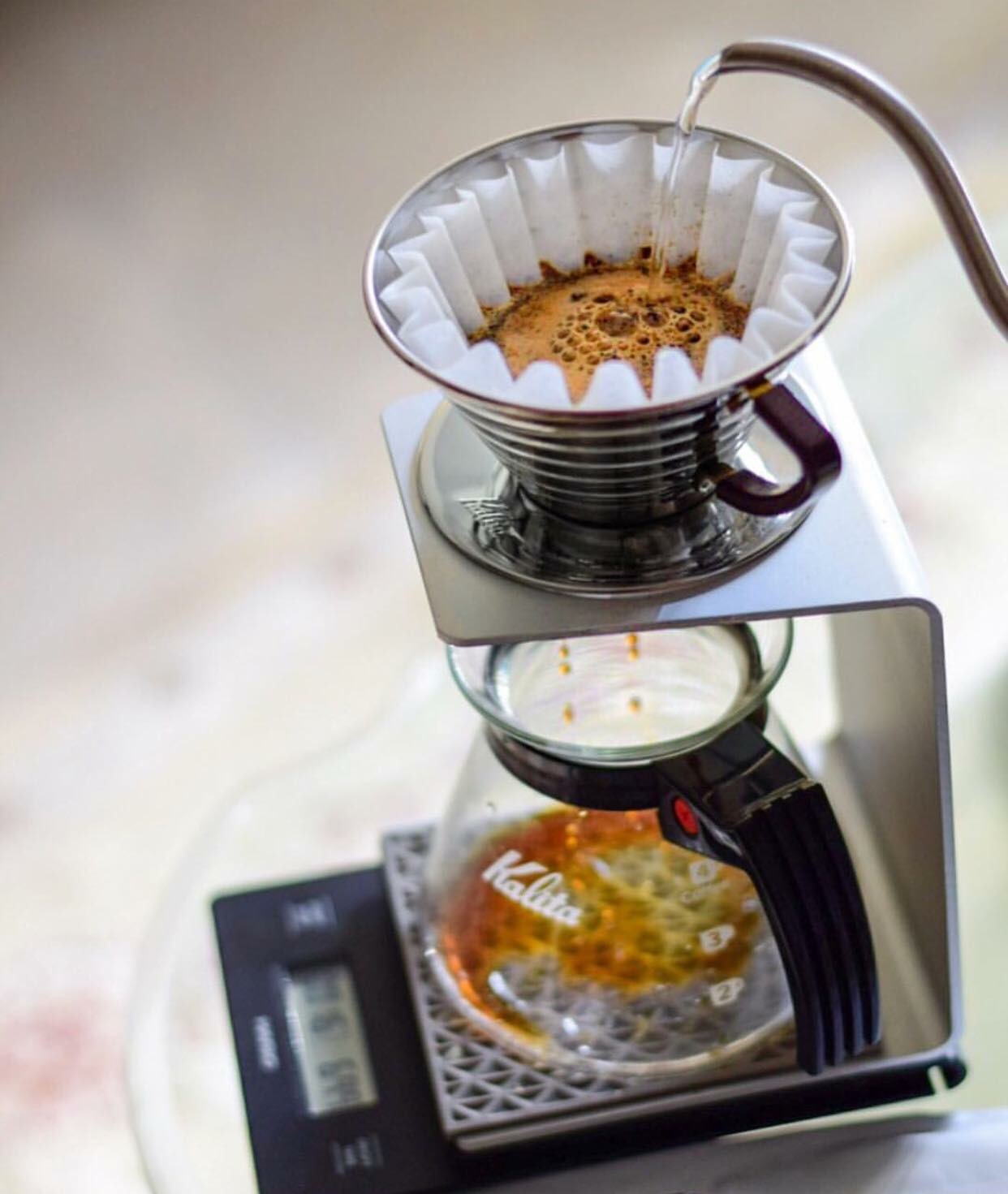 Blackbird Coffee