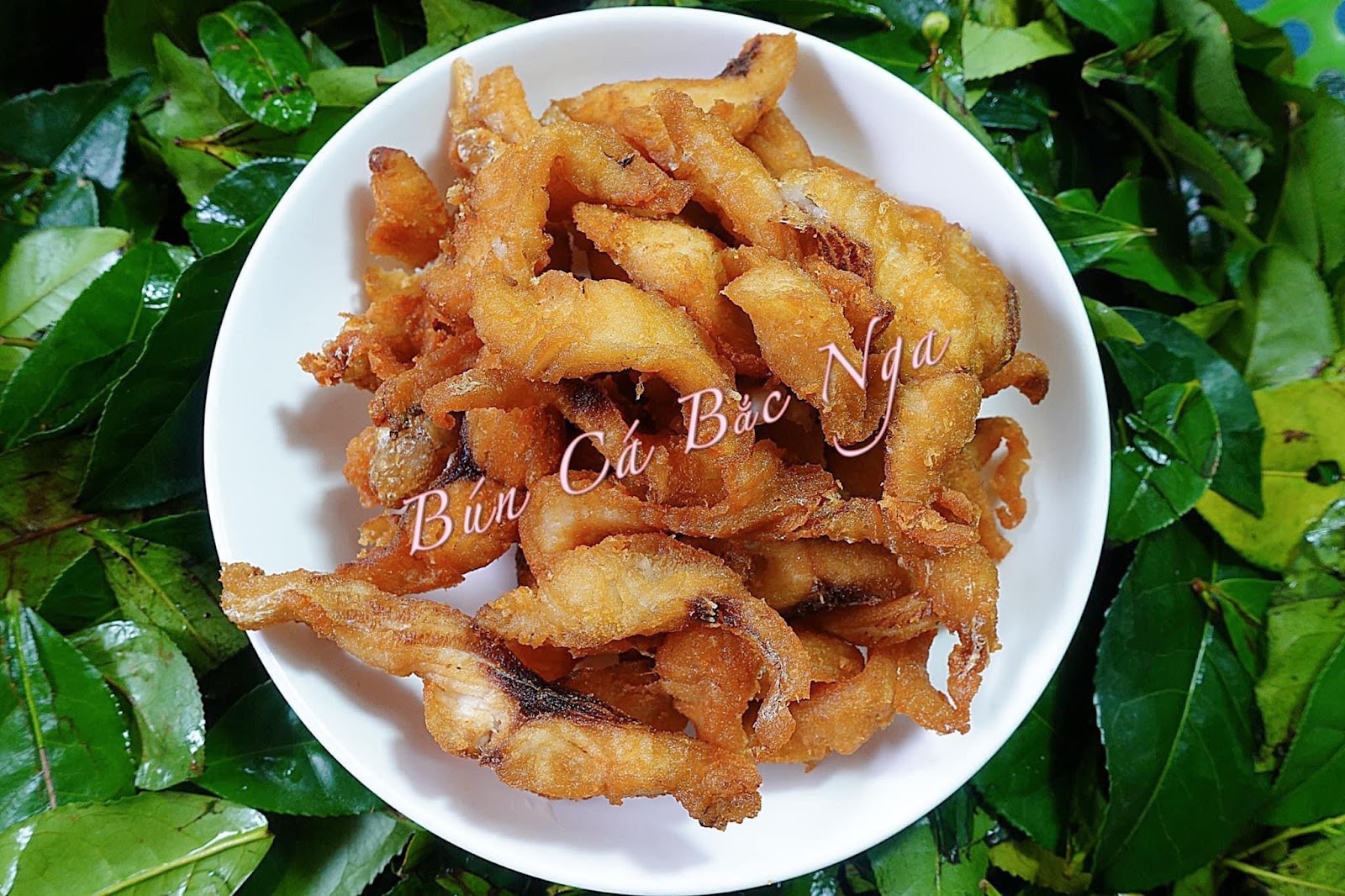 BÚN CÁ BẮC NGA (THE BEST TRADITIONAL FISH-NOODLE)