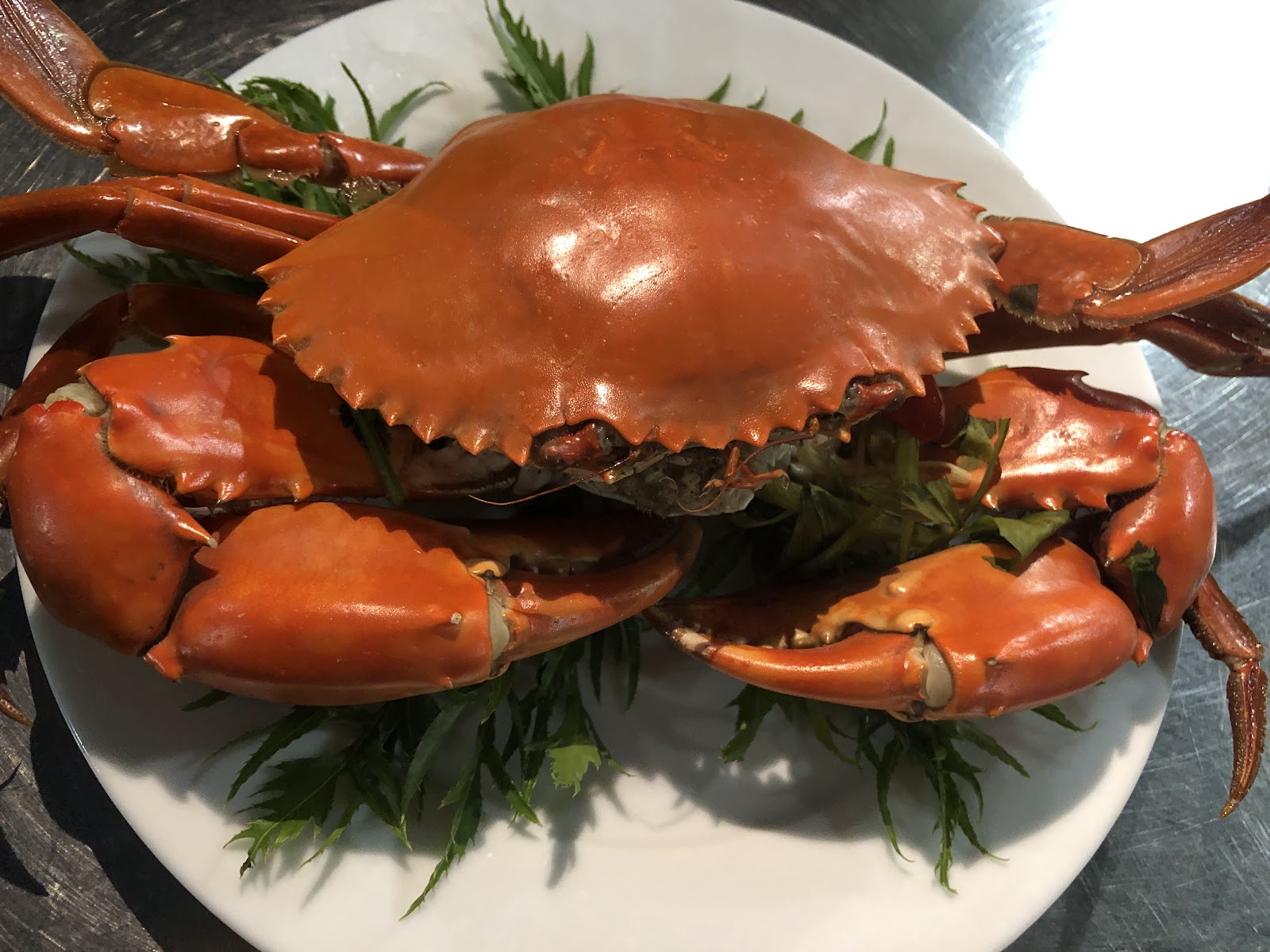 Cá Nướng Biển Đông