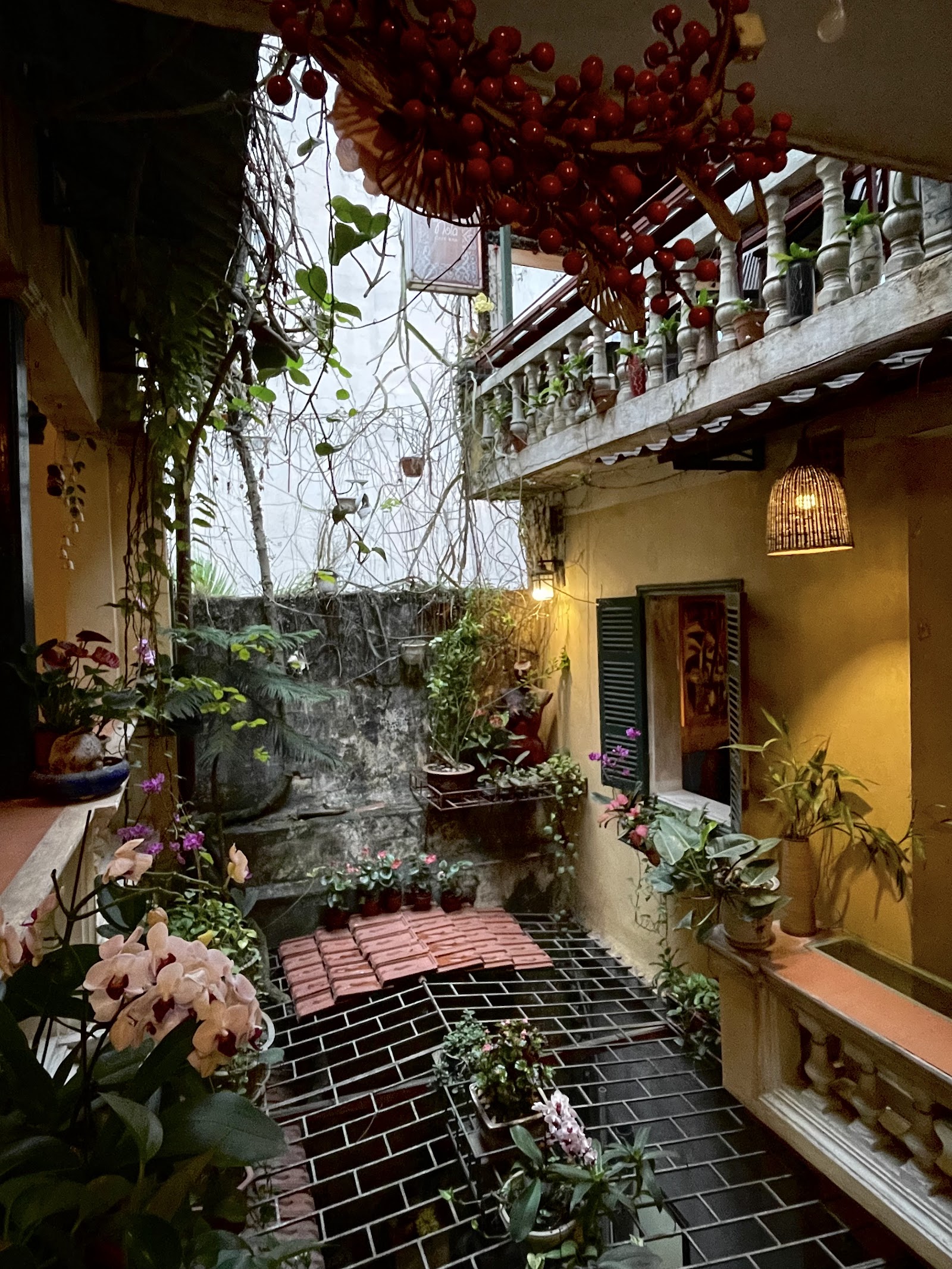 Cafe Nola