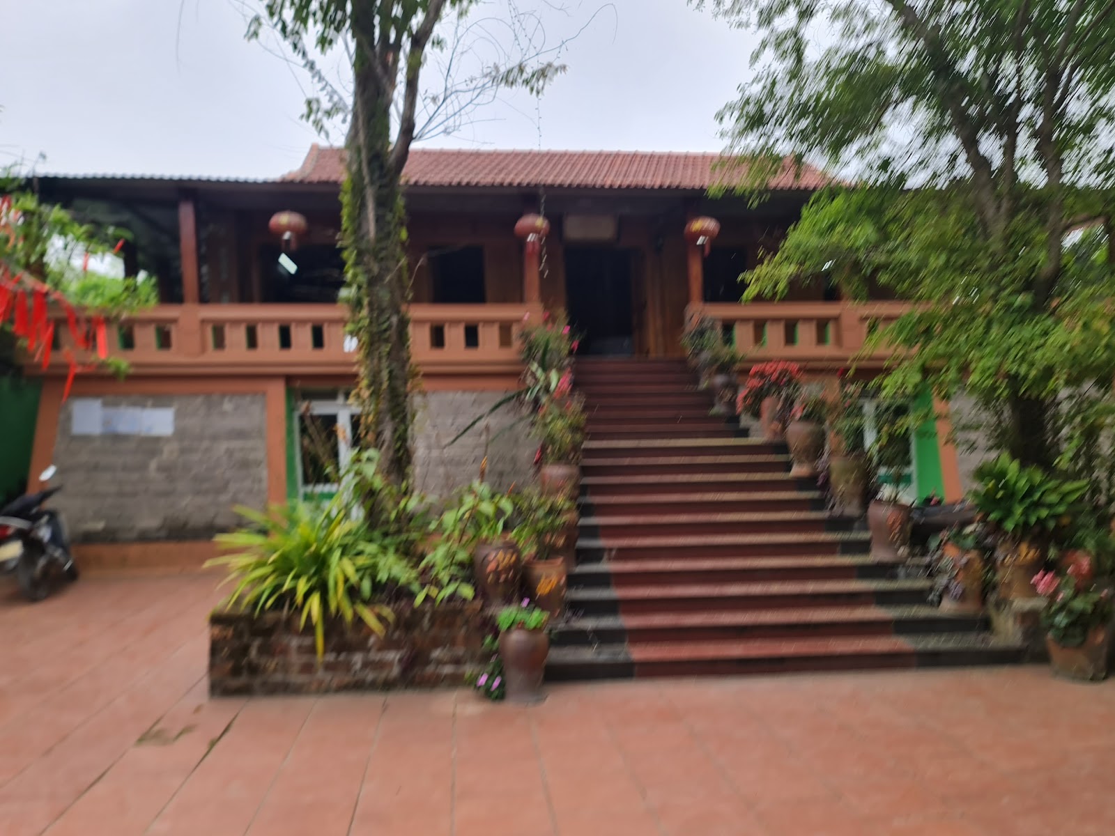 Chè Xanh Bản Ven