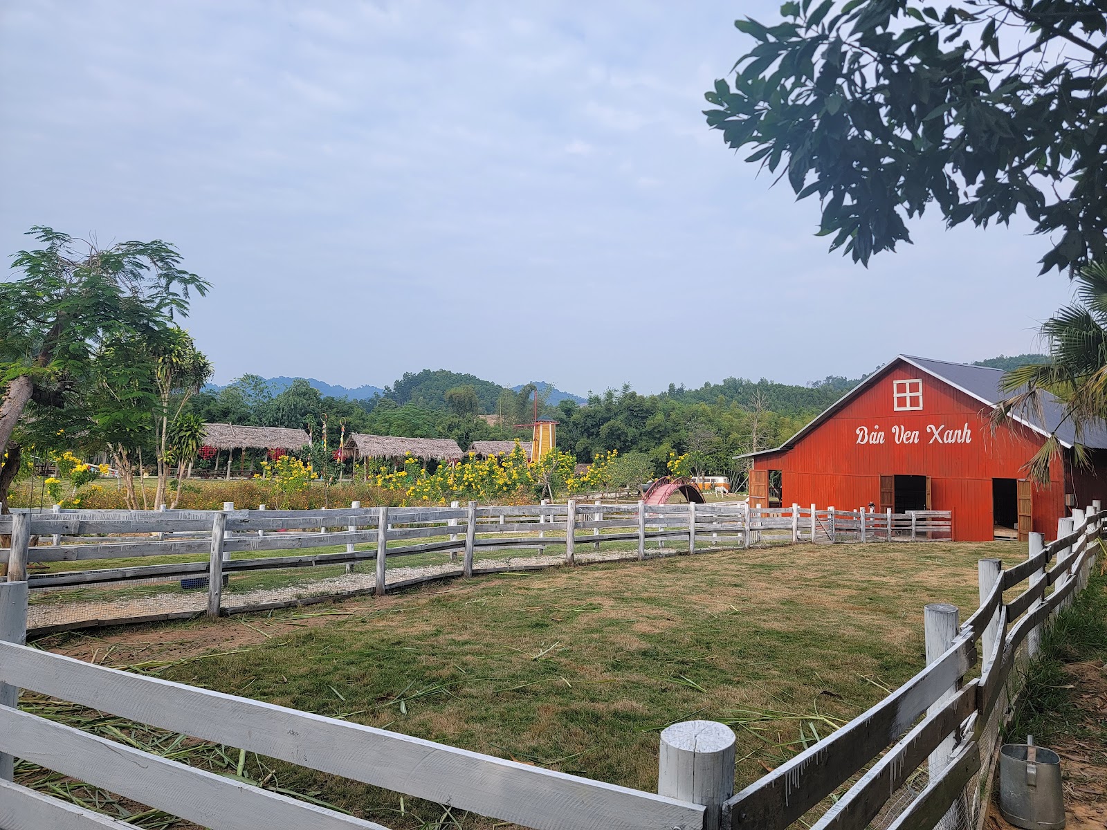 Chè Xanh Bản Ven
