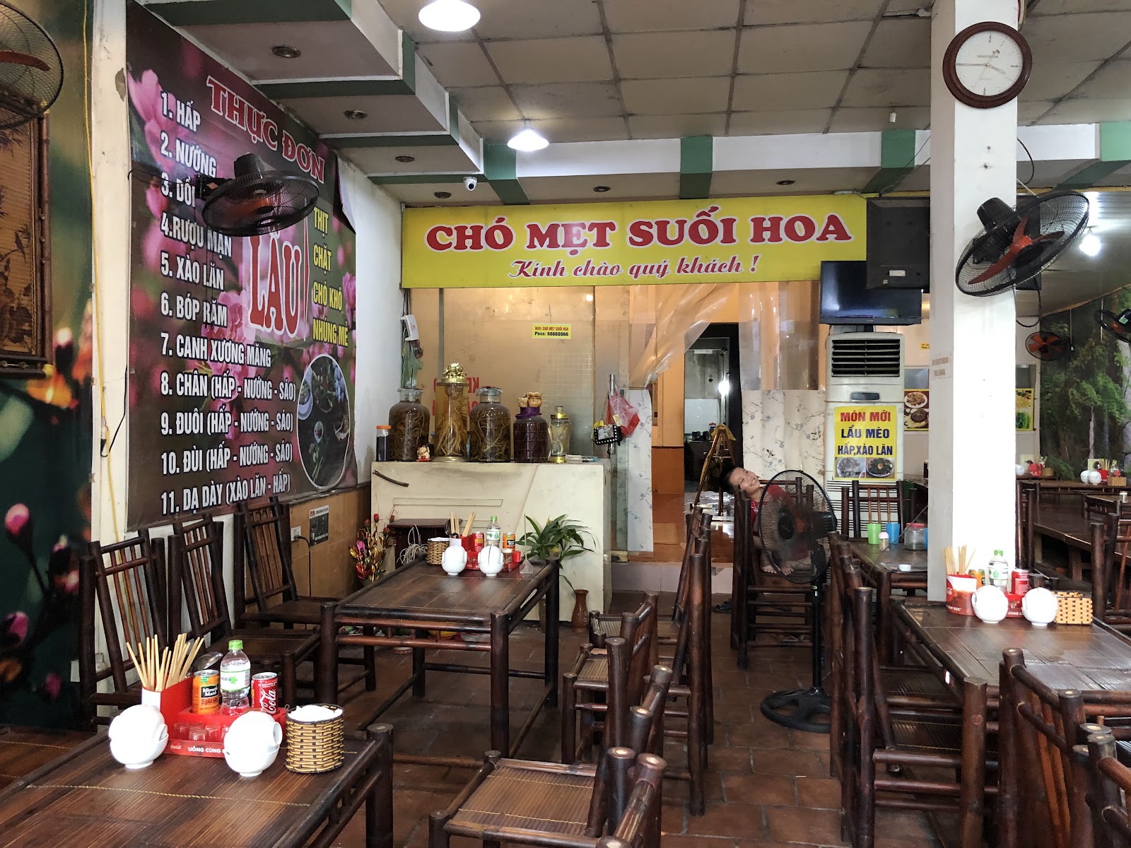 Chó Mẹt Suối Hoa