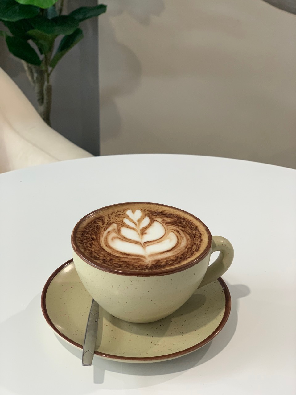 Dmood coffee