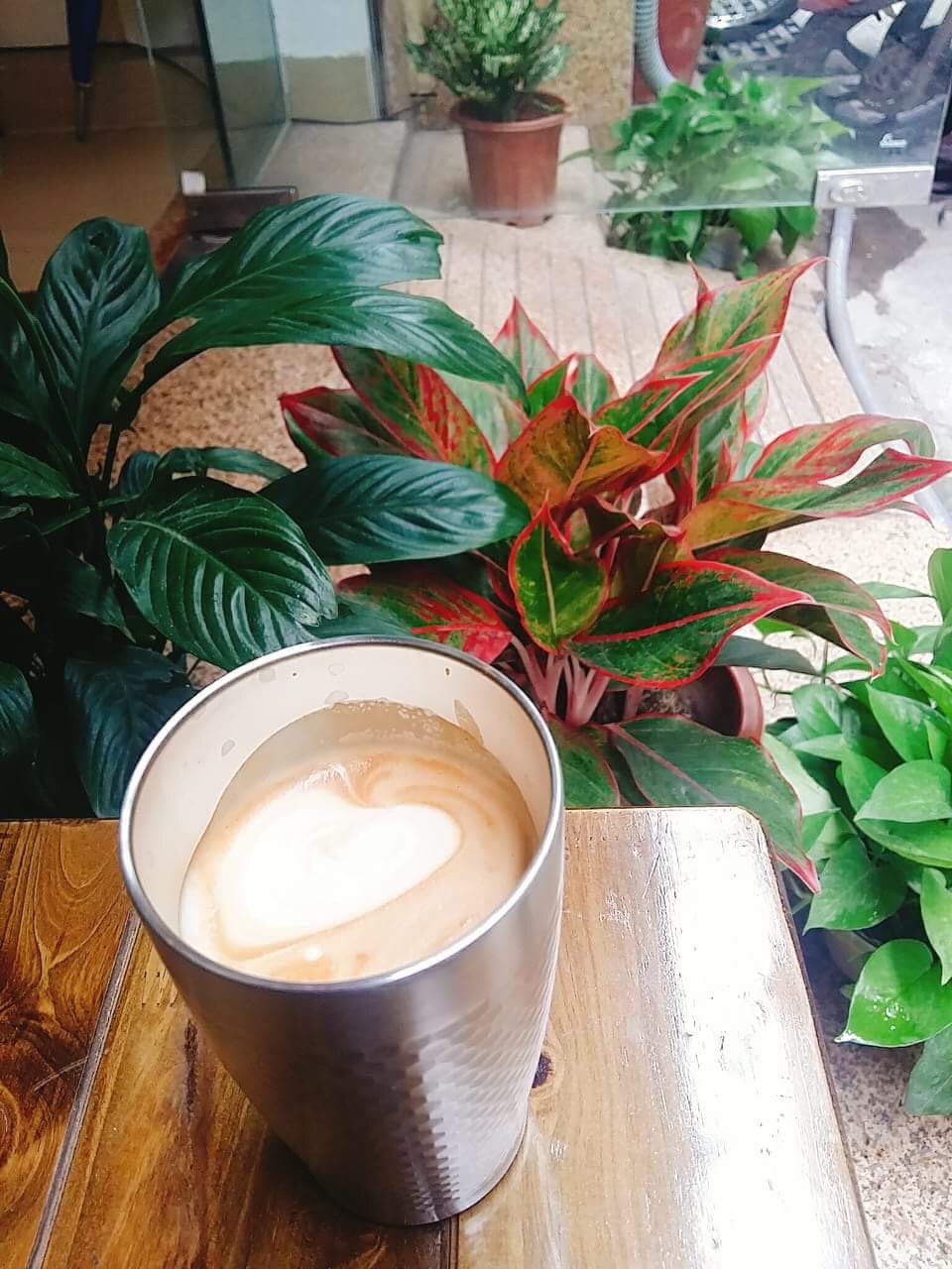Dream Beans Coffee Roastery