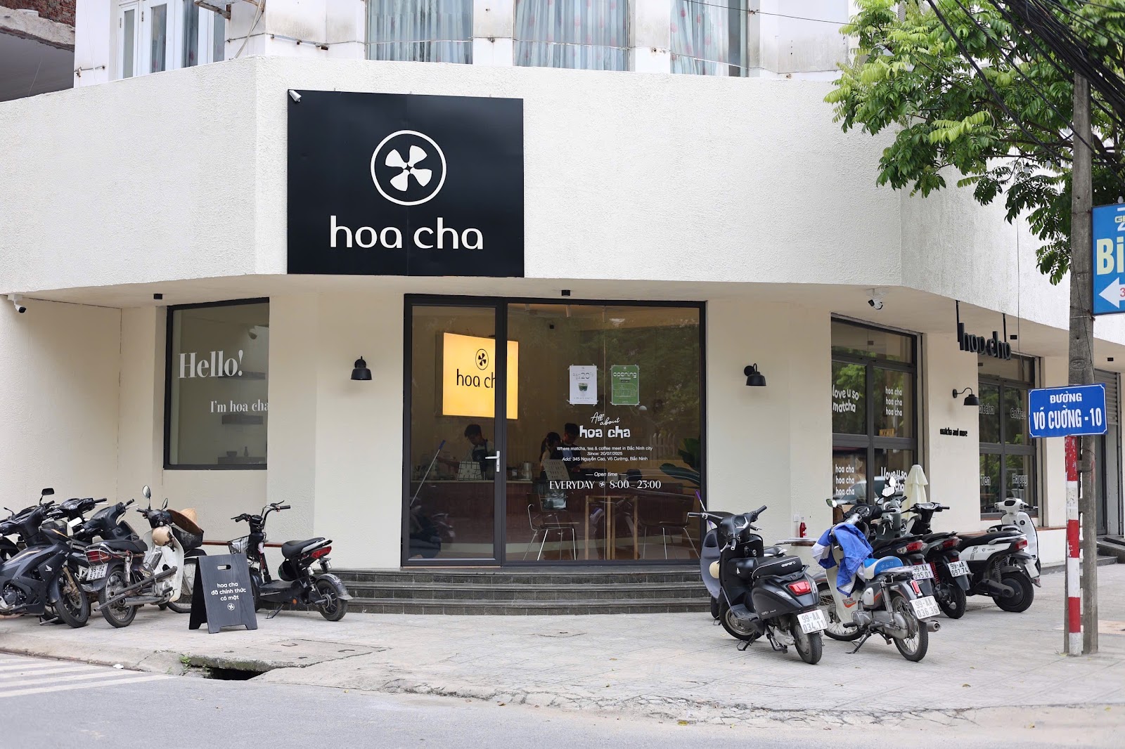 hoa cha