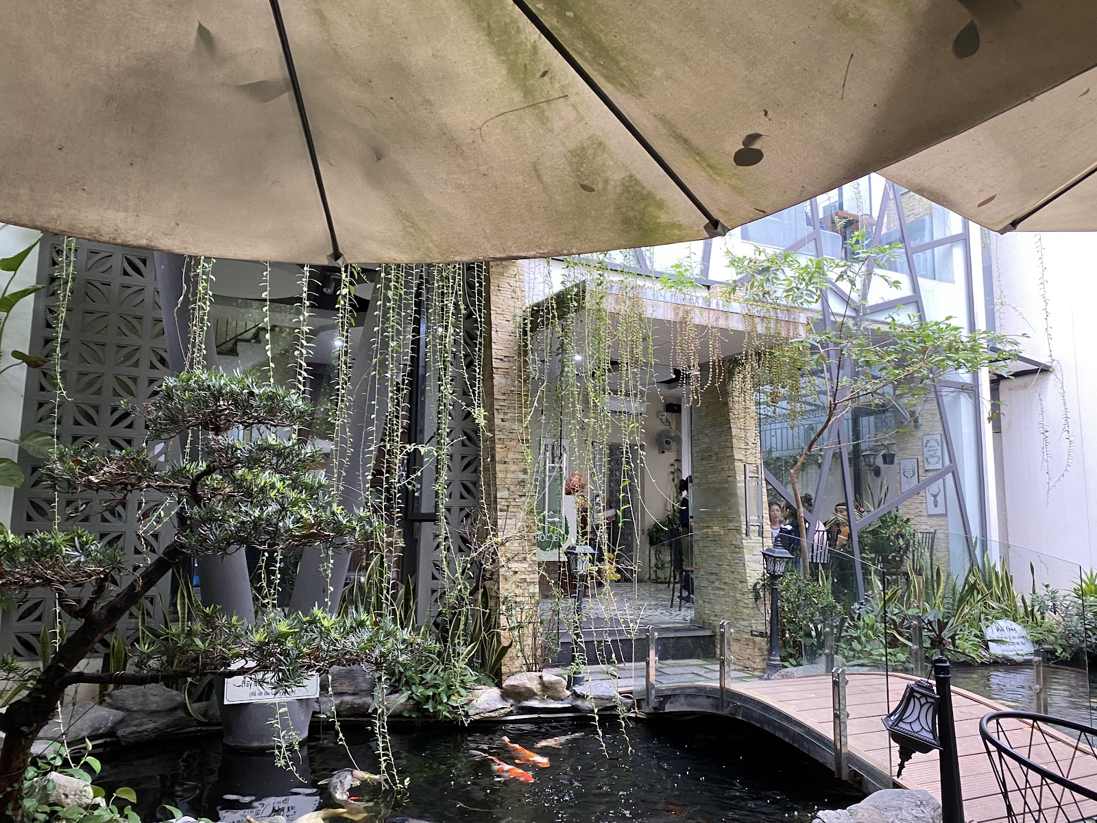 HOME - Cafe Koi