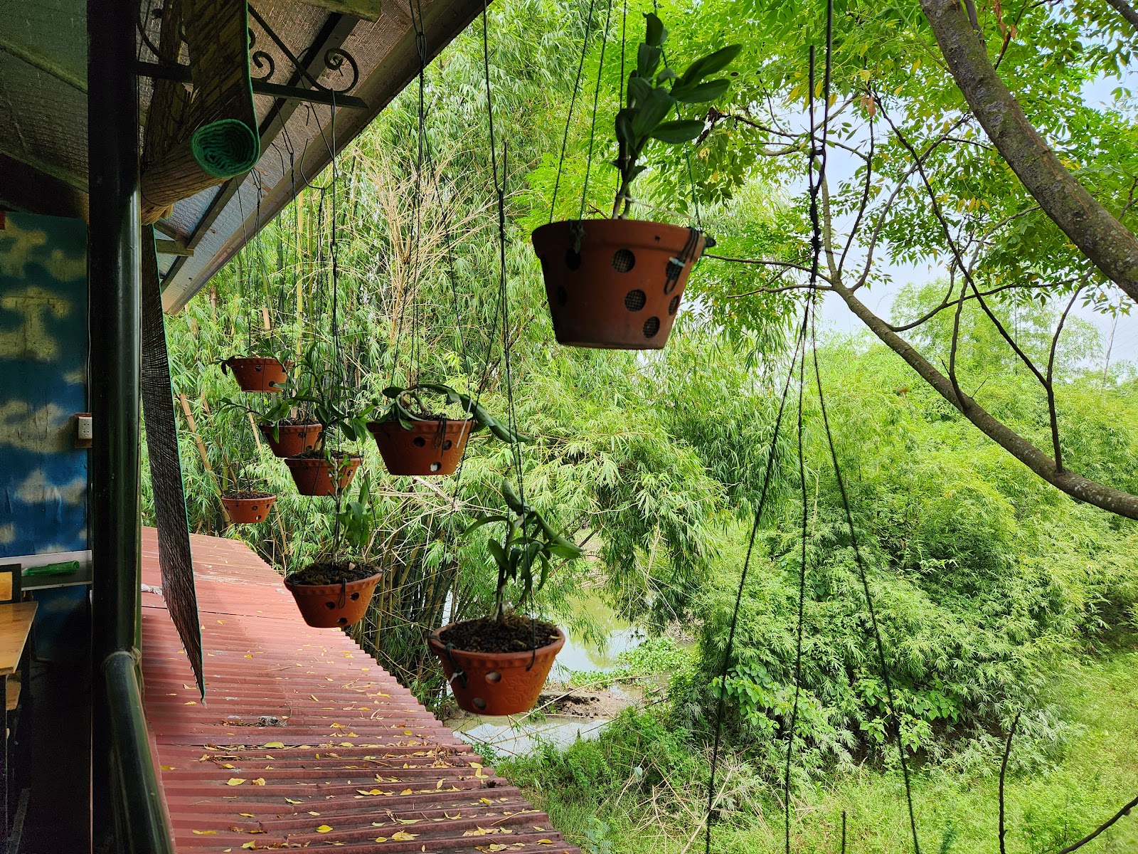 Lạc Đường Quán – Không gian quán