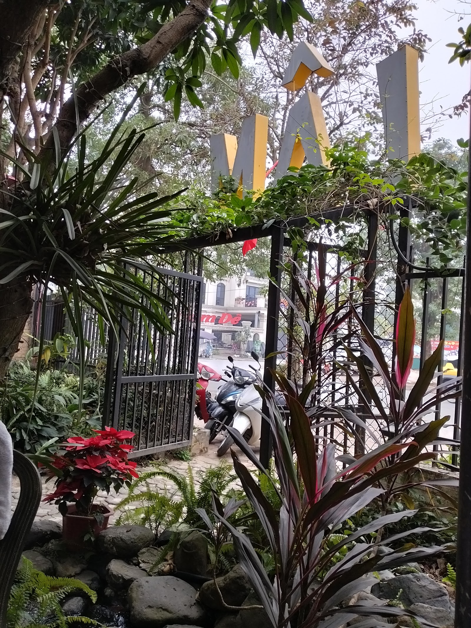 Lâm Coffee Trâu Quỳ