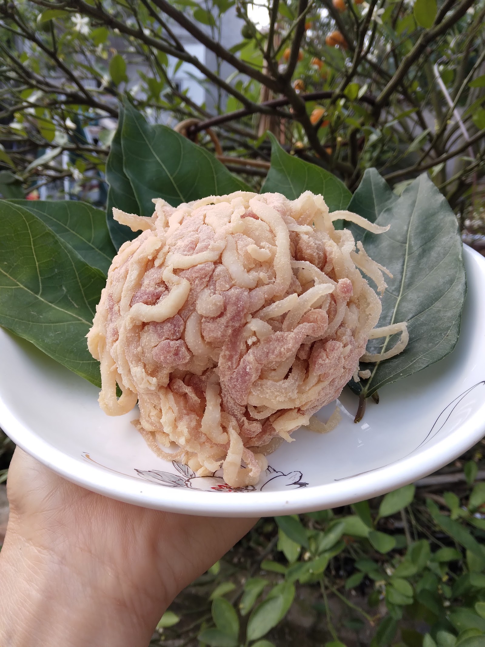 Nem Bùi Gia Truyền