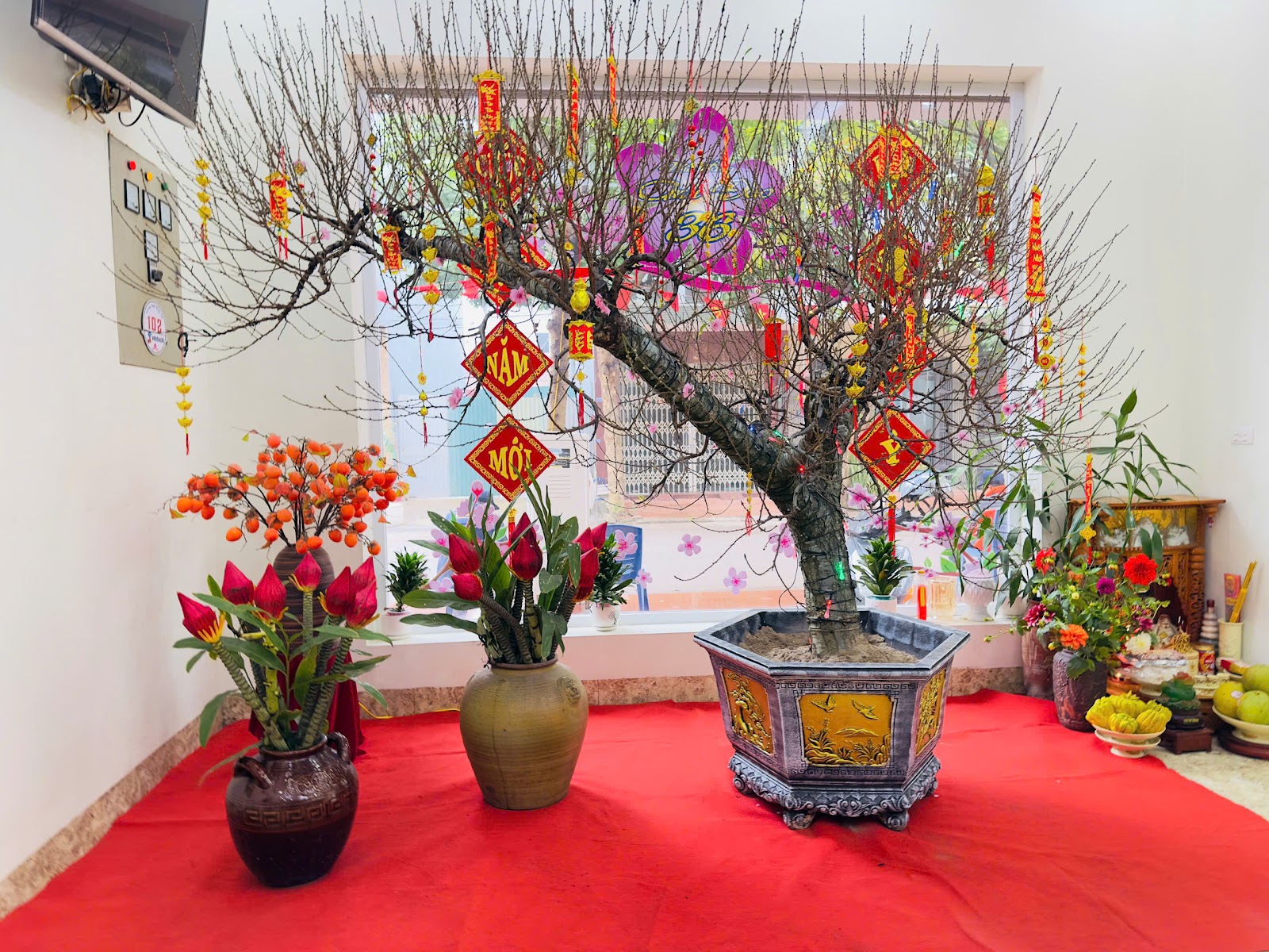 Nhà Hàng Anh Đào 36