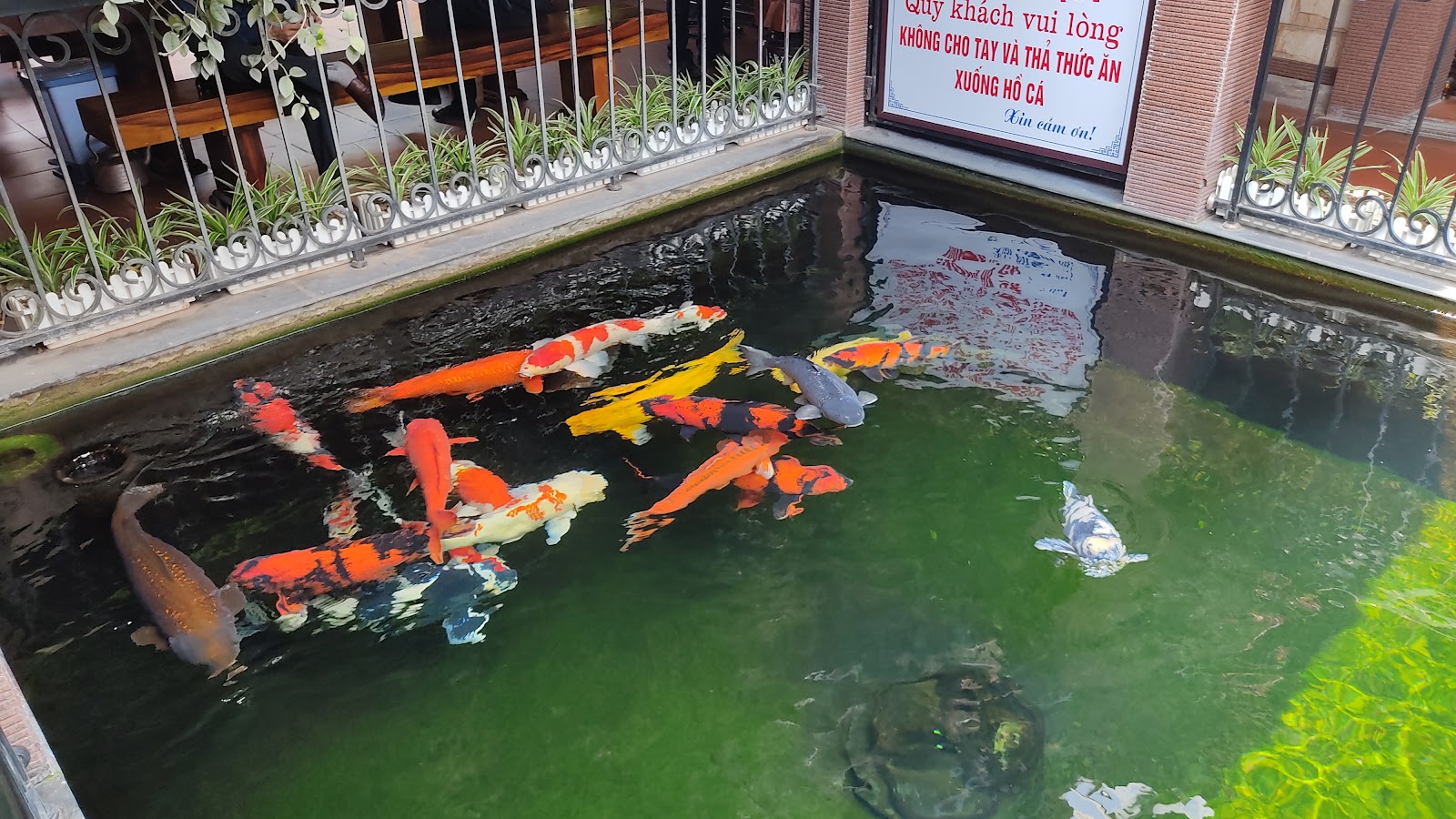 Nhà Hàng Đặc Sản Chim