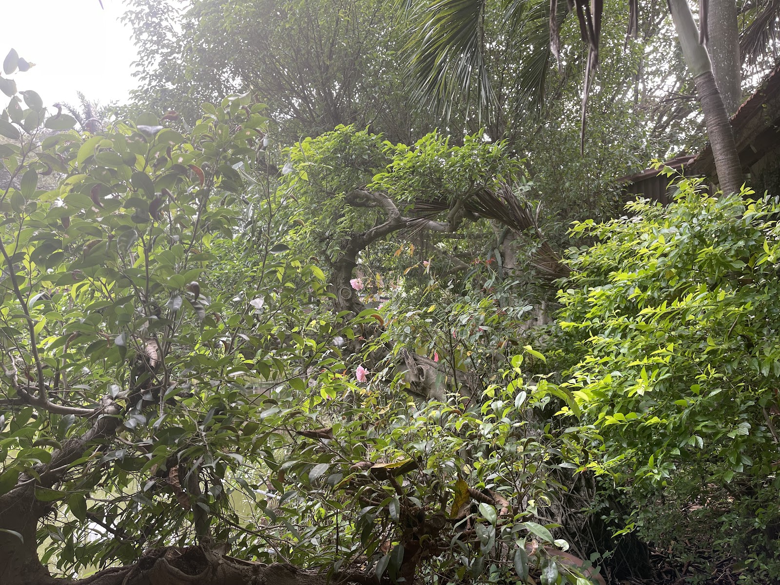 Nhà Hàng - Hồ Câu Thu Nga – Không gian quán