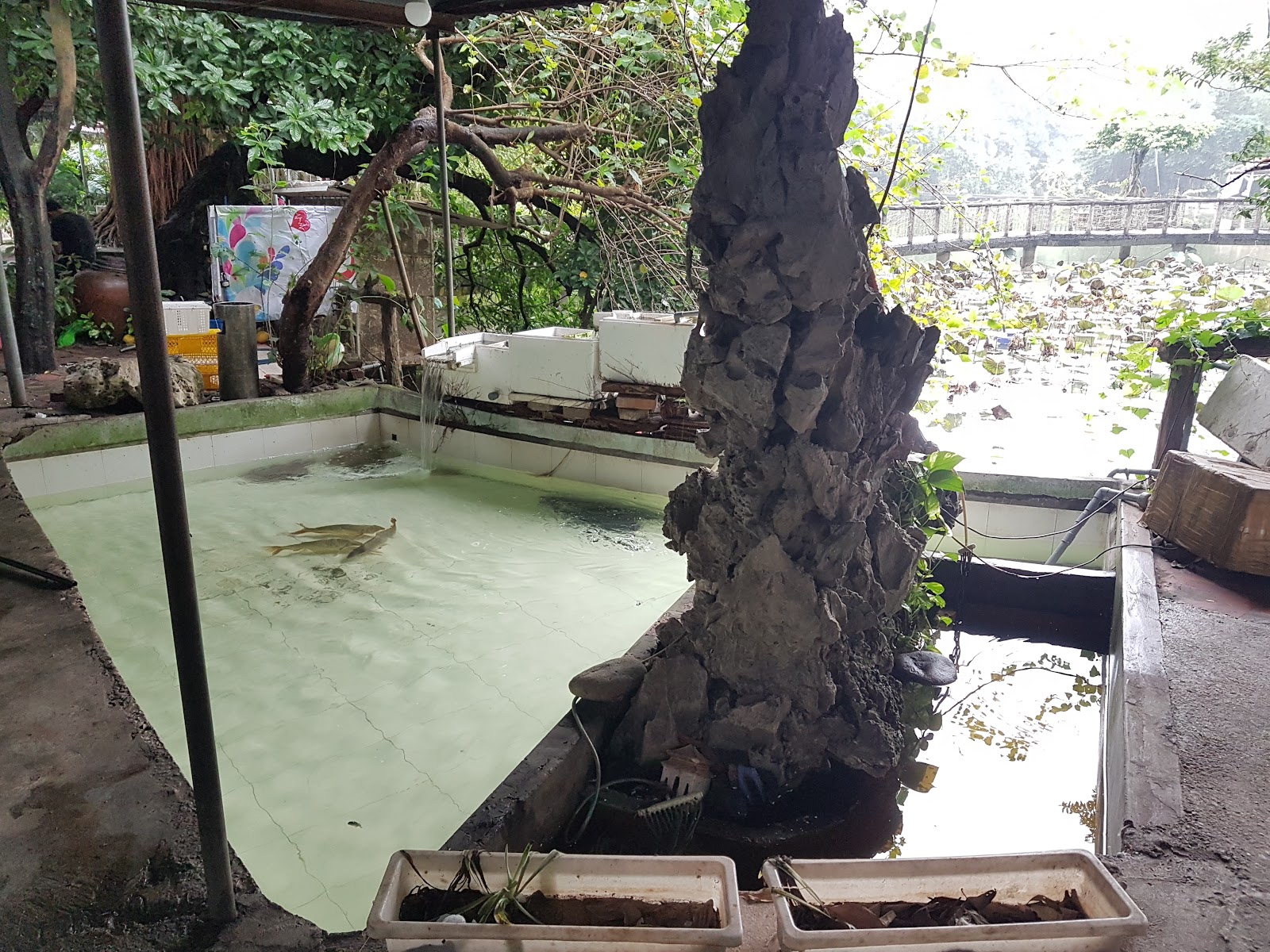 Nhà Hàng - Hồ Câu Thu Nga – Không gian quán