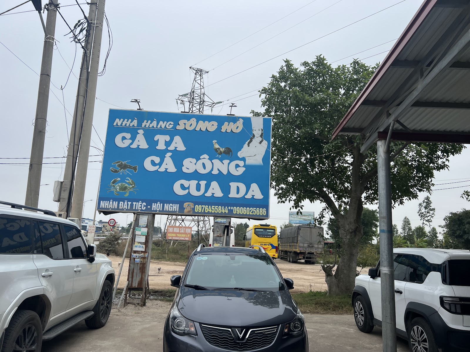 Nhà Hàng Sông Hồ (Cá sông Cầu Bình Than)