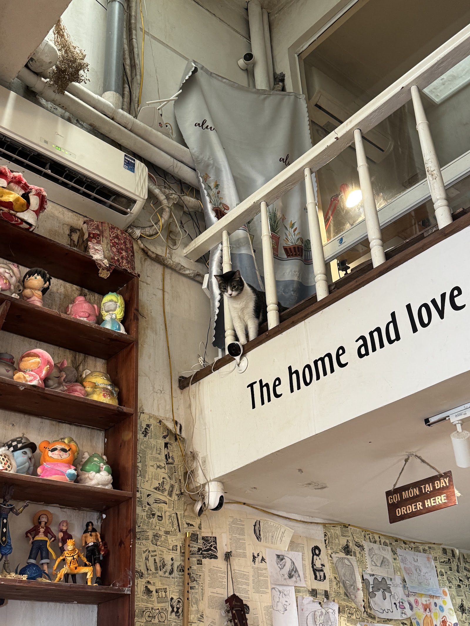 Oleoleo Coffee Books & Cats ( Cat coffee )