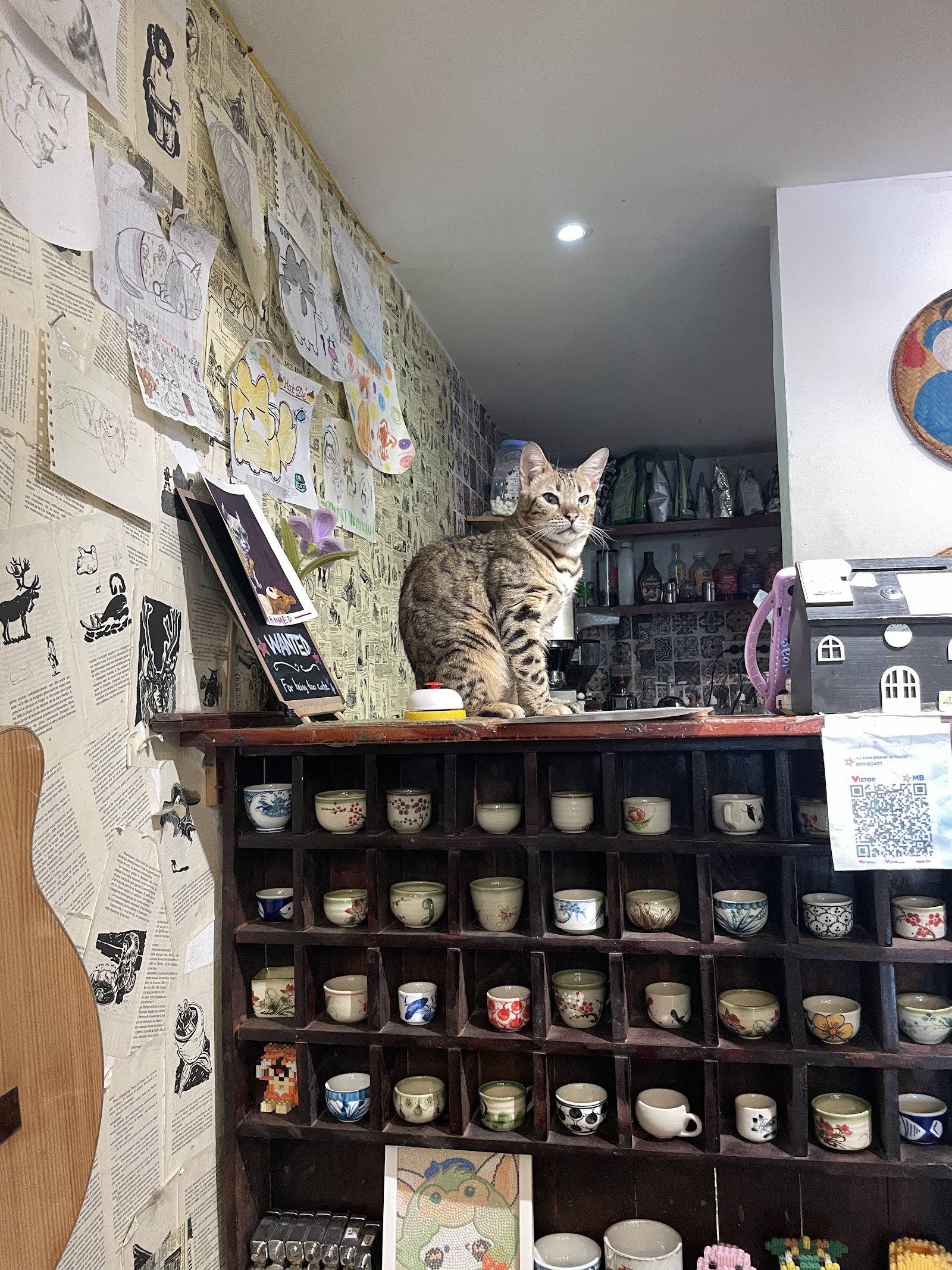 Oleoleo Coffee Books & Cats ( Cat coffee )