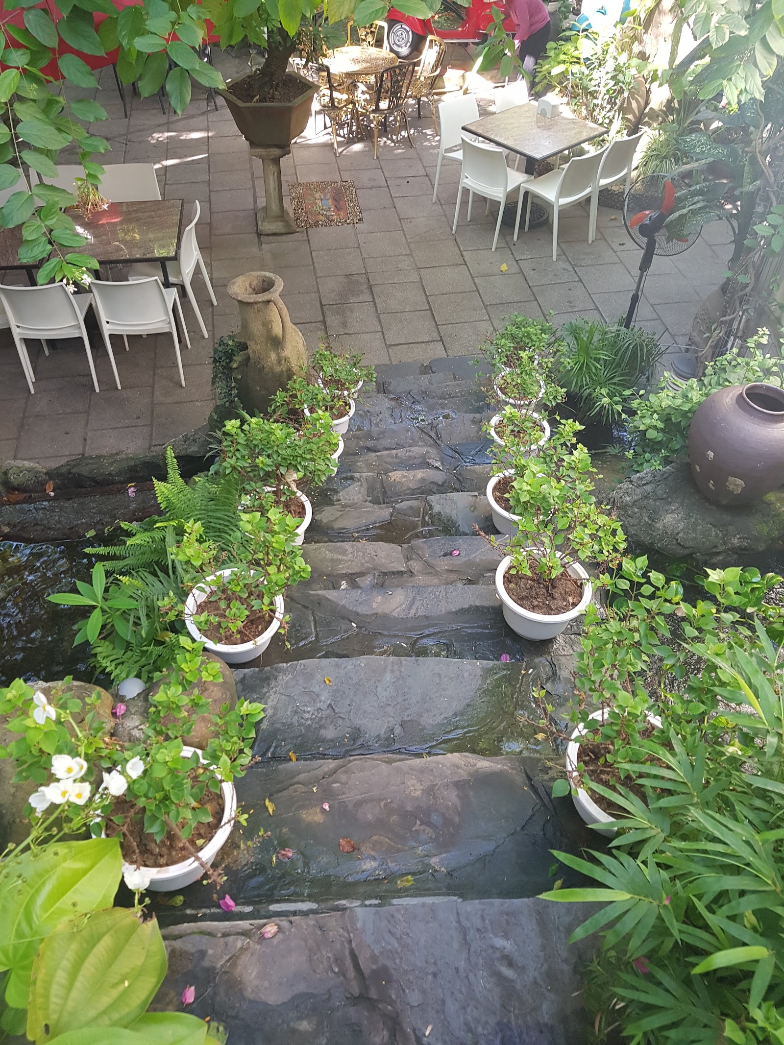 Q5 Coffee Garden – Không gian quán