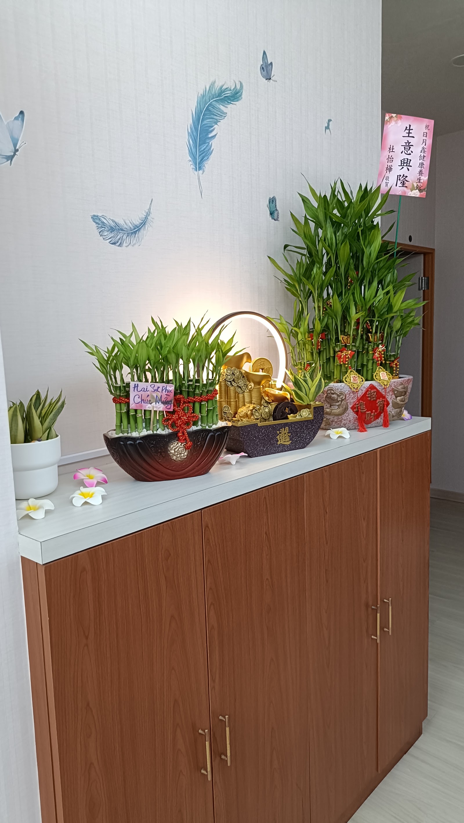 日月鑫男女健康養生館環境照