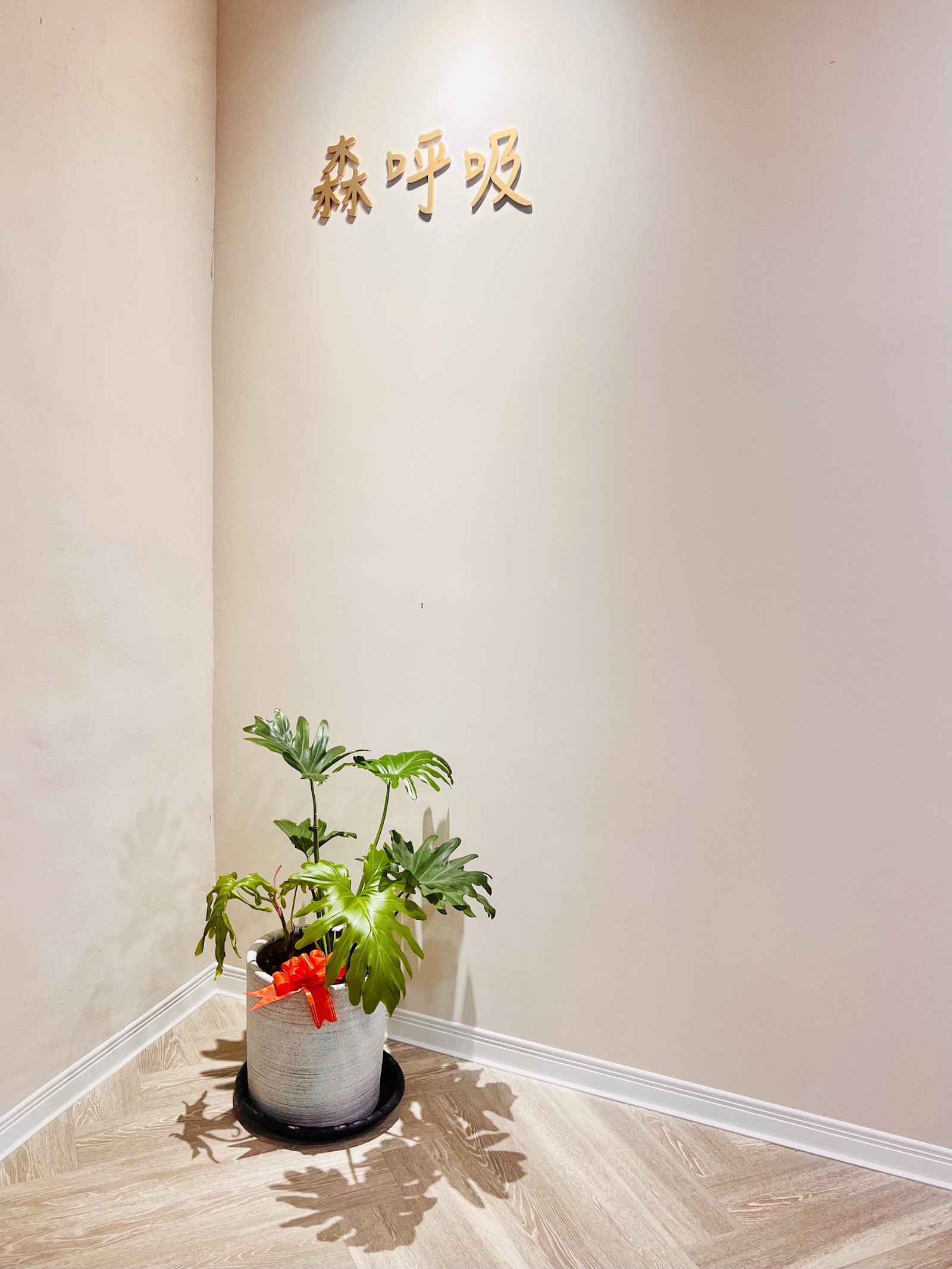 森呼吸男女SPA氧身會館 新北(頭部按摩/精油SPA/舒壓按摩) 板橋(頭部按摩/精油SPA/舒壓按摩)環境照