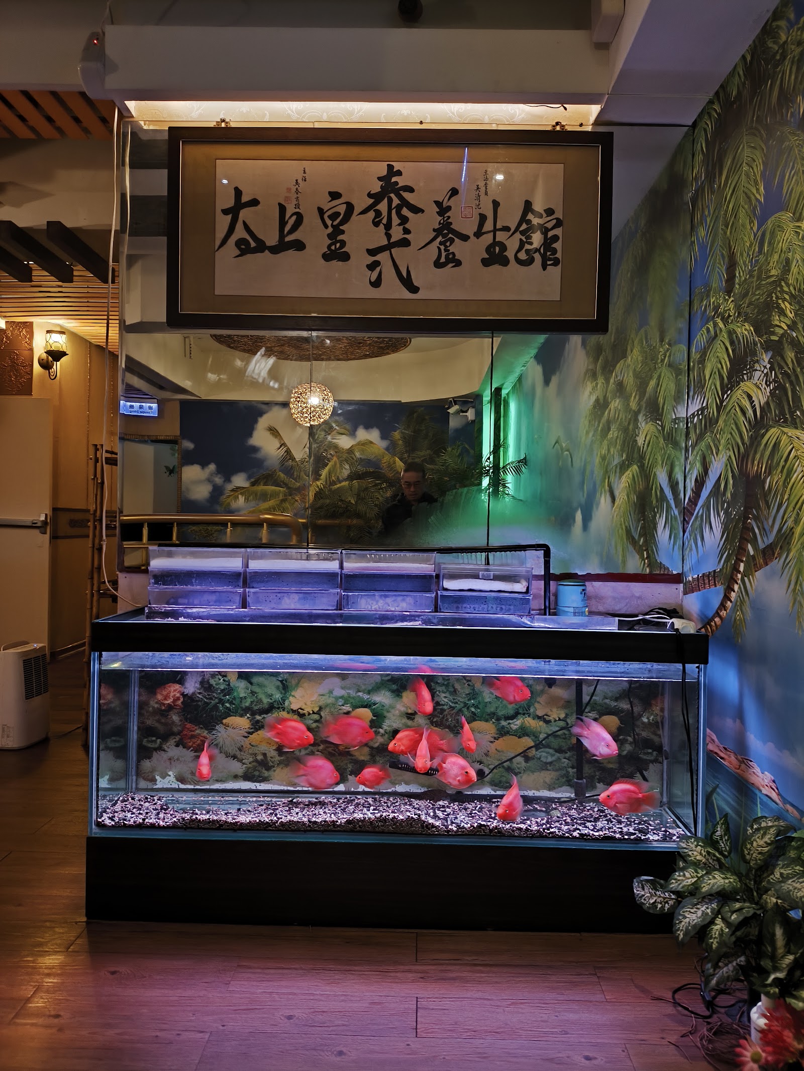 太上皇古式養生館|台北按摩|板橋按摩|板橋泰式按摩|板橋按摩推薦|板橋油壓|板橋油壓按摩|板橋指壓|板橋全身去角質|板橋spa|massage環境照