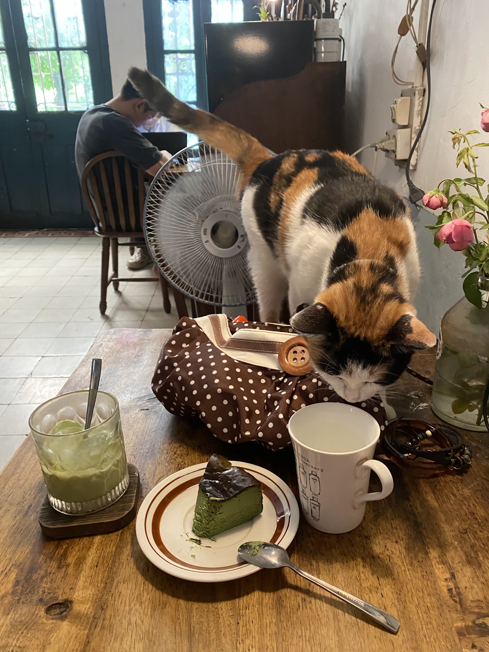 The Little Plan café - Kế Hoạch Nhỏ café