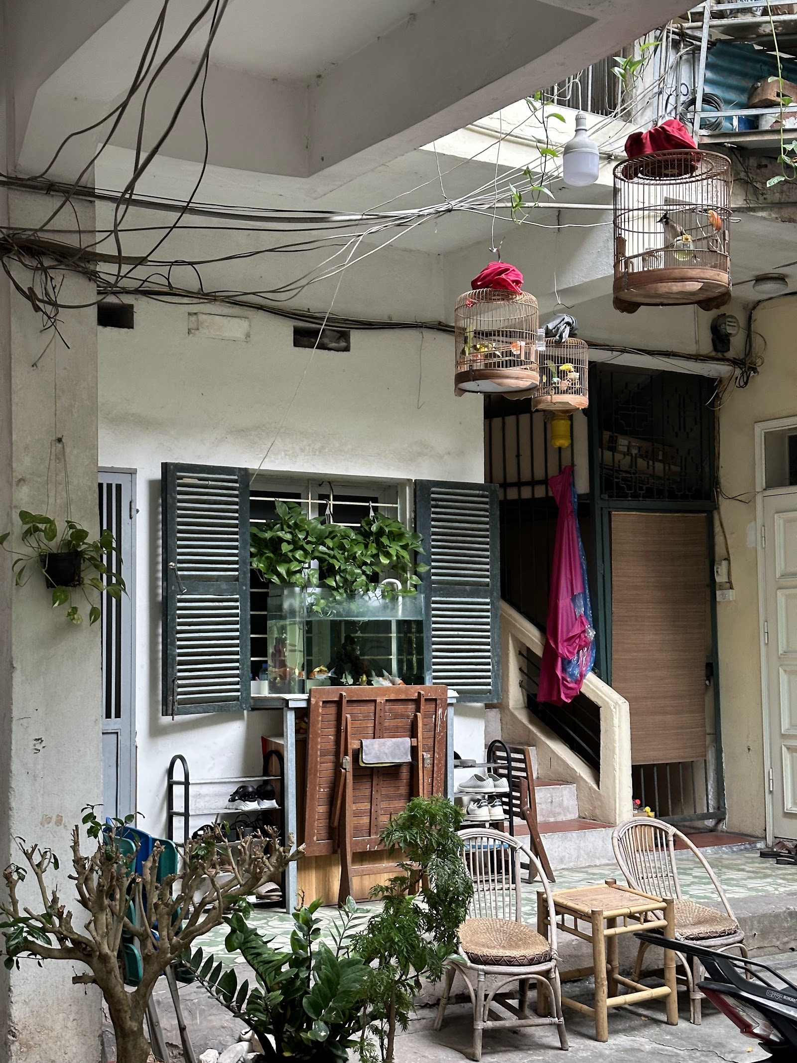 TỔ CHIM XANH - BLUEBIRDS' NEST – Không gian quán