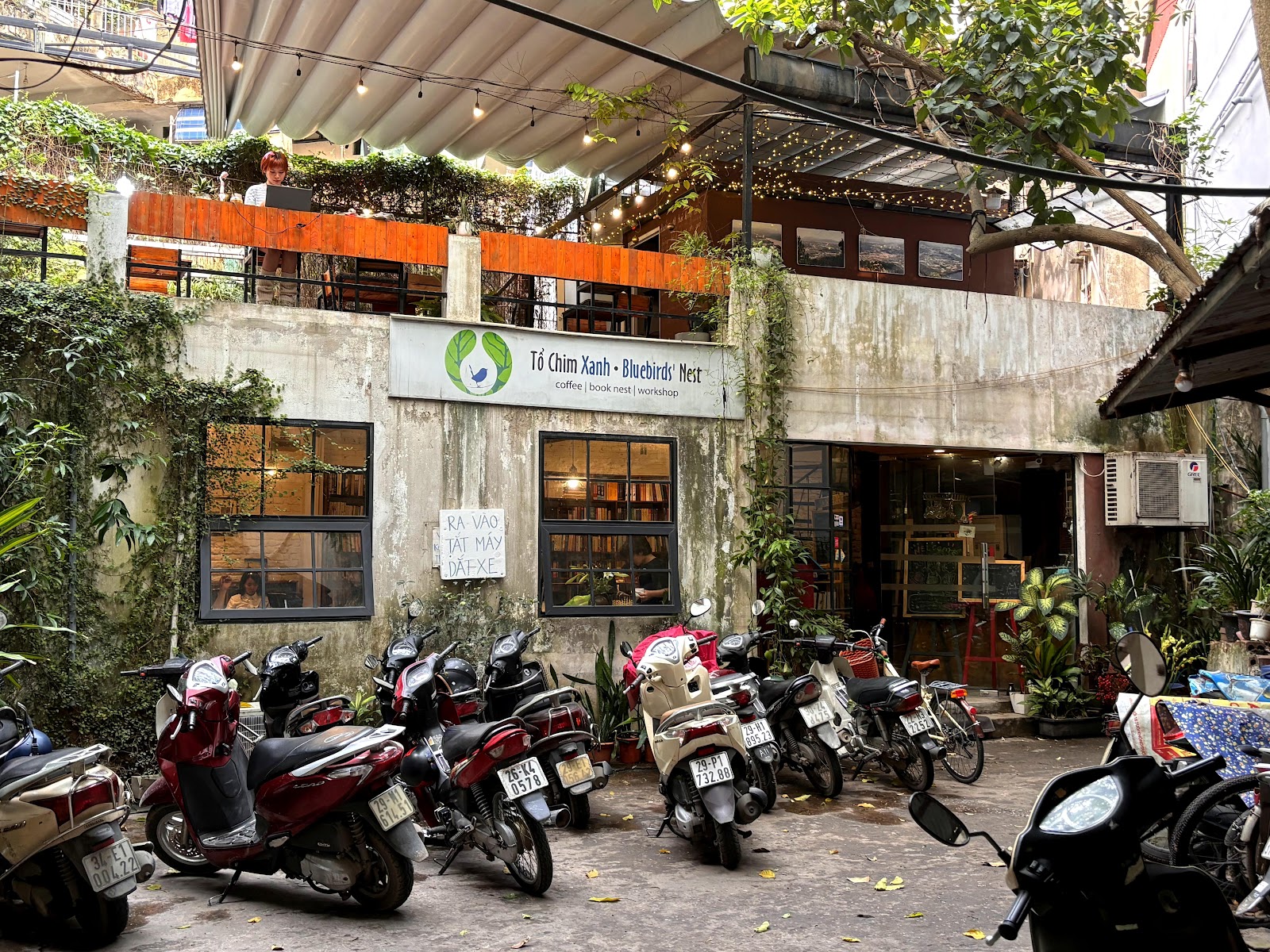 TỔ CHIM XANH - BLUEBIRDS' NEST – Không gian quán
