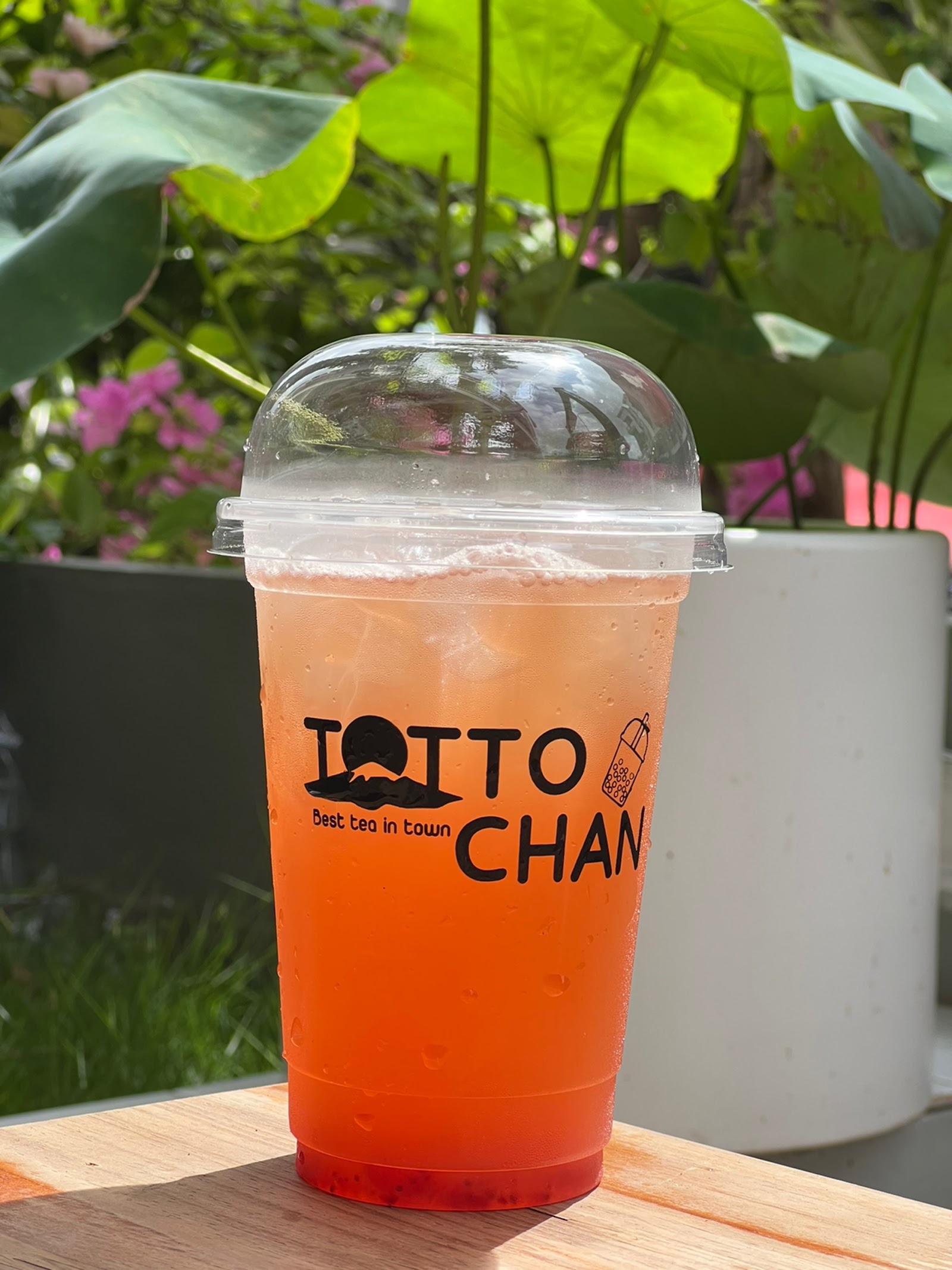 Trà sữa Totto Chan