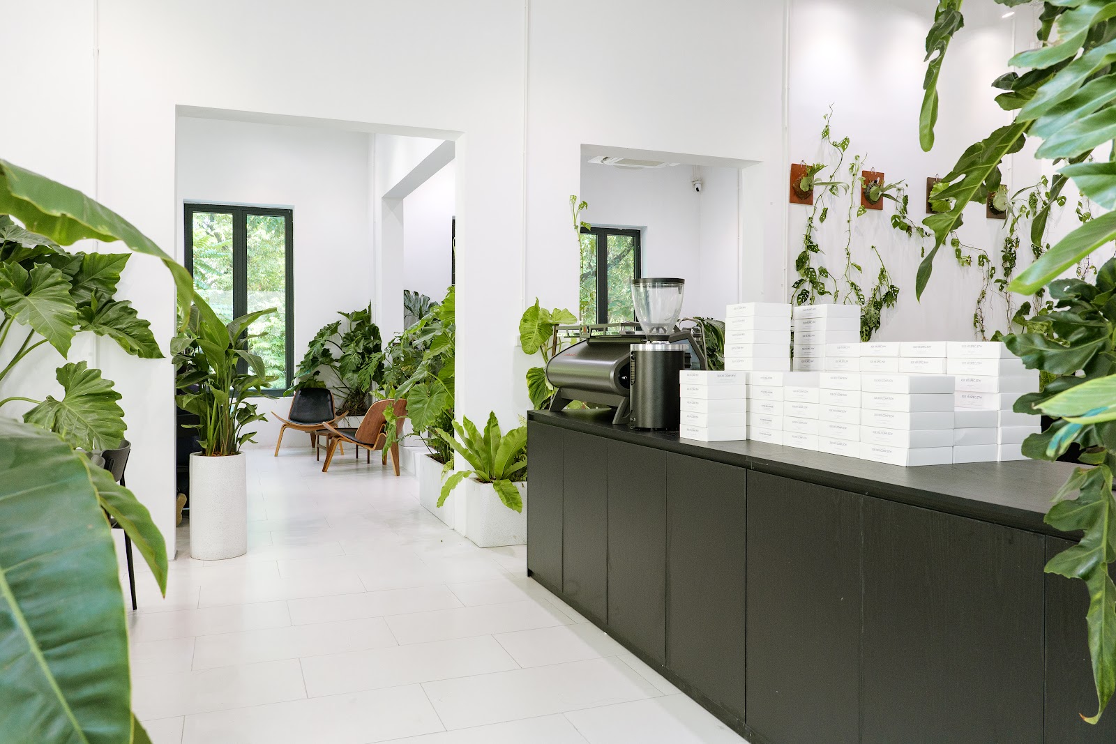 XLIII Specialty Coffee